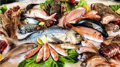 اسعار السمك اليوم في مصر.. اعرف البلطي والماكريل المجمد بكام في رمضان