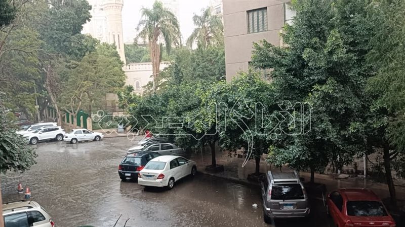 أمطار رعدية تضرب