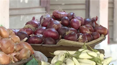 شعبة الخضروات والفاكهة: لدينا بديل البصل الأحمر.. والأسعار مستقرة باستثناء الليمون البلدي|خاص