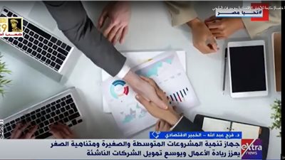 دور جهاز تنمية المشروعات في تعزيز قطاع ريادة الأعمال في مصر.. خبير يوضح