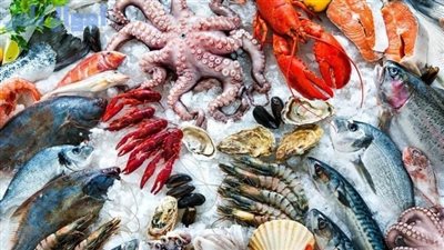 أسعار السمك اليوم 14 مارس 2025 .. اعرف البلطي والبربون بكام