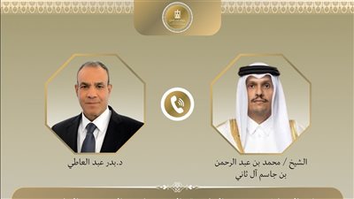 وزيرا خارجية مصر وقطر يؤكدان أن إقامة الدولة الفلسطينية الحل النهائي لاستقرار المنطقة