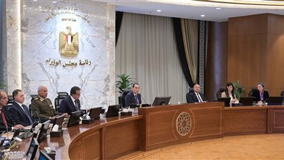 أبرزها تخصيص 160 مليار جنيه للسلع التموينية .. قرارات اجتماع الحكومة اليوم