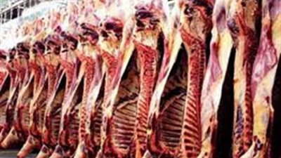 هل يجوز أكل اللحوم المستوردة من البرازيل.. مفتي الإرهاب يصدم الليبيين