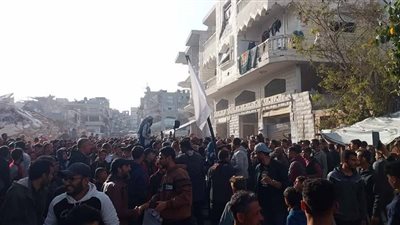 باحثة فلسطينية لـ