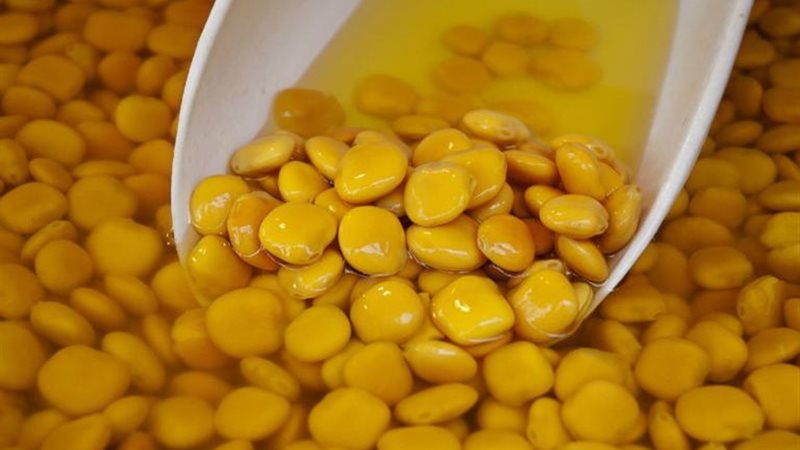 أفضل طريقة لعمل الترمس