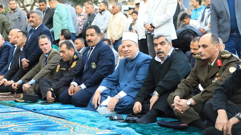 الايام المصرية
