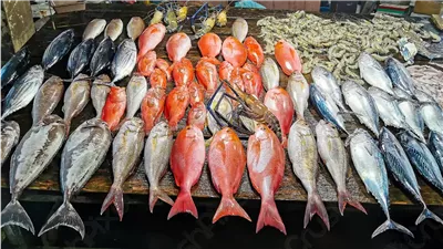 اسعار السمك اليوم .. اعرف بكام النهارده