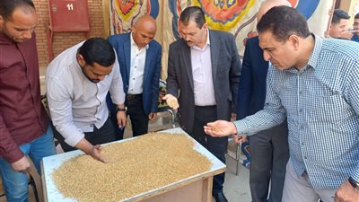 التموين: افتتاح موسم توريد القمح المحلي لعام 2025 بمحافظة الفيوم لهذا السبب