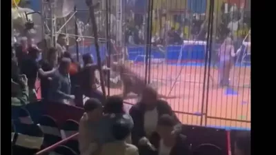 تحرك عاجل من وزير العمل بشأن العامل ضحية حادث سيرك طنطا 