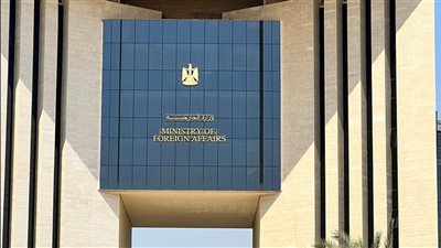 مصر تعلن نجاحها في إعادة طفلة مصرية من الإمارات بتعاون دبلوماسي