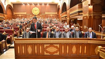 وزير التموين أمام الشيوخ: الدولة تولي ملف الأمن الغذائي أولوية قصوى