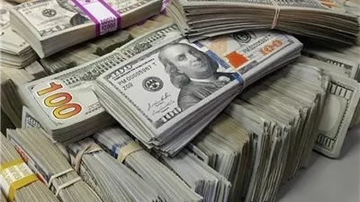 سبب ارتفاع سعر الدولار اليوم.. خبيرة مصرفية تفجر مفاجأة| خاص