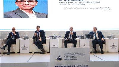 جلسة نقاشية لعرض آفاق التعاون الأكاديمي والبحثي المشترك بين مصر وفرنسا