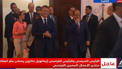 وزير الاستثمار: 7.7 مليار دولار حجم استثمارات فرنسا في مصر من 18 شركة