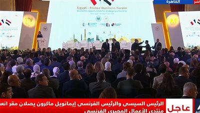 الرئيس السيسي: مصر تمثل فرصة لرجال الأعمال الأجانب للنفاذ إلى الشرق الأوسط وأفريقيا