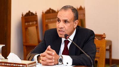 وزير الخارجية: الاصطفاف الشعبي حول القيادة السياسية ركيزة رئيسية لحماية الدولة 