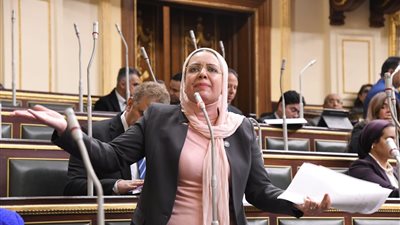 ريهام عبد النبي: الأسعار انفجرت والمواطن بلا حماية... ونطالب بمحاسبة المسؤولين