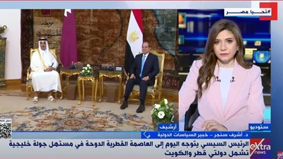 خبير سياسات دولية يوضح دلالة زيارة الرئيس السيسي لدولتي قطر والكويت في هذا التوقيت