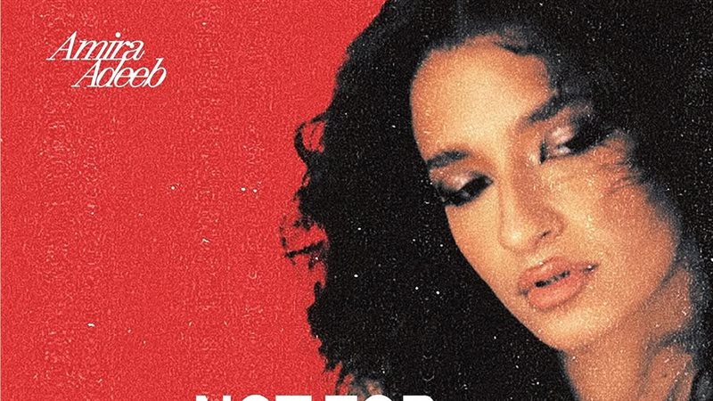 أميرة أديب اللي راح