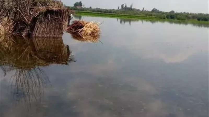 فيضان طرح النهر..