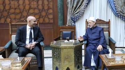 كواليس لقاء شيخ الأزهر مع وزير التربية والتعليم.. تدريس وثيقة الأخوة لطلبة المدارس
