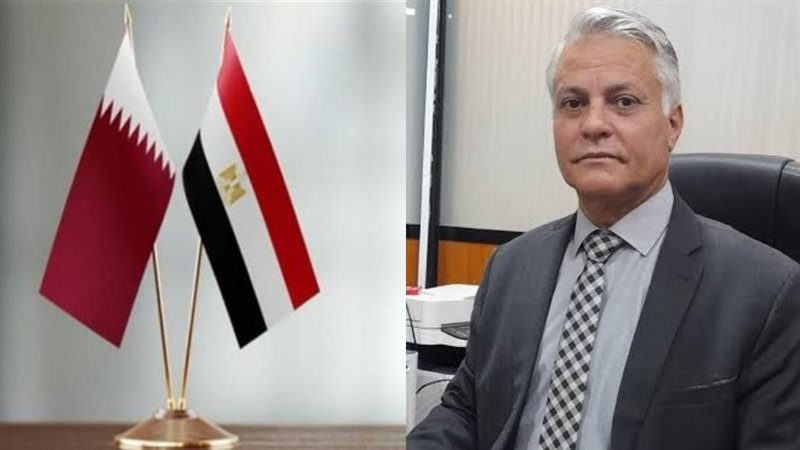 المستشارأسامة سعد