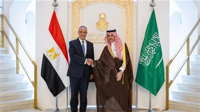 مصر والسعودية تؤكدان رفض تهجير الفلسطينيين وضرورة تنفيذ الخطة العربية