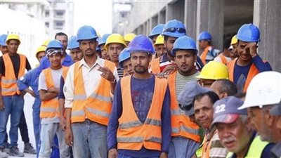 الإحصاء: تراجع أعداد العاملين في القطاع العام خلال 2024 بنسبة 6.5%