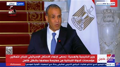 بدر عبد العاطي: غطرسة القوة لا يمكن أن تحقق الأمن والسلام بالمنطقة