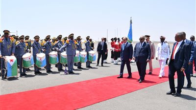 مصر وجيبوتي تؤكدان رفضهما تهديد أمن الملاحة بالبحر الأحمر