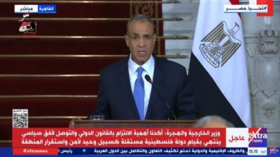 وزير الخارجية: لن نقبل المساس بحصة مصر المائية