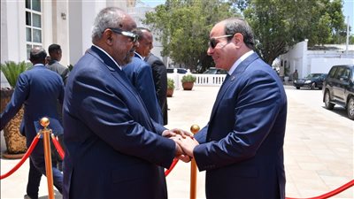 زيارة السيسي لجيبوتي .. مساعد وزير الخارجية يكشف