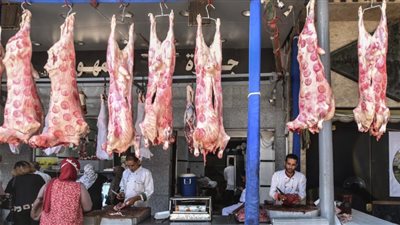 نقيب الفلاحين يفجر مفاجأة عن أسعار اللحوم بعيد الأضحى| خاص