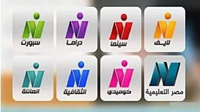 تجميد اقتراح تغيير اسم نايل سينما ونايل دراما إلى موليوود