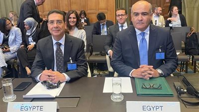 باحث سياسي: المرافعة المصرية أمام العدل الدولية بلورت انتهاكات الاحتلال للقانون الدولي