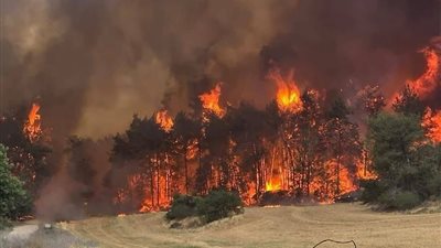 تحت مزاعم الرد على حرائق إسرائيل.. مستوطنون يشعلون النار في أراضي للفلسطينيين 