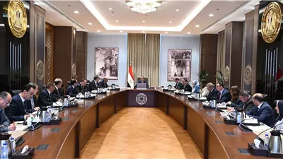 مجلس الوزراء: لدينا لحوم تكفي 12 شهرا.. وهدفنا تأمين مخزون دائم من السلع