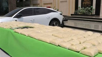 القبض على 10 متهمين جدد مع سارة خليفة في قضية «الحشيش الاصطناعي»