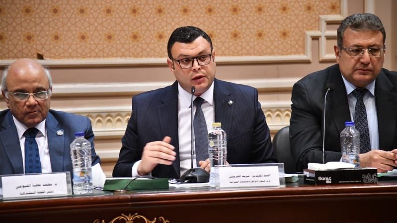 المهندس شريف الشربيني،