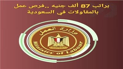 برواتب تصل إلى 87 ألف جنيه، وزارة العمل تعلن عن فرص للمصريين في شركة مقاولات بالسعودية