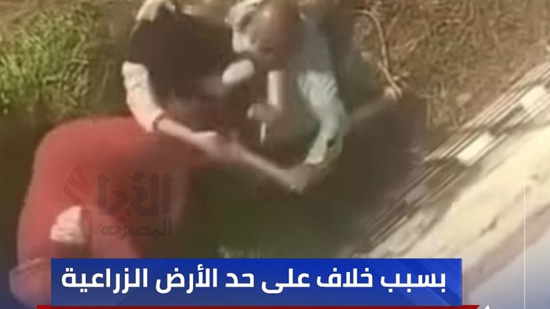 فيديو ضرب سيدة الدقهلية