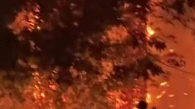 الايام المصرية
