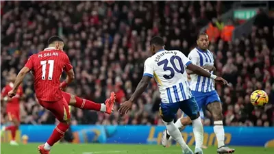 شاهد بث مباشر مباراة ليفربول وبرايتون في الدوري الإنجليزي 2025