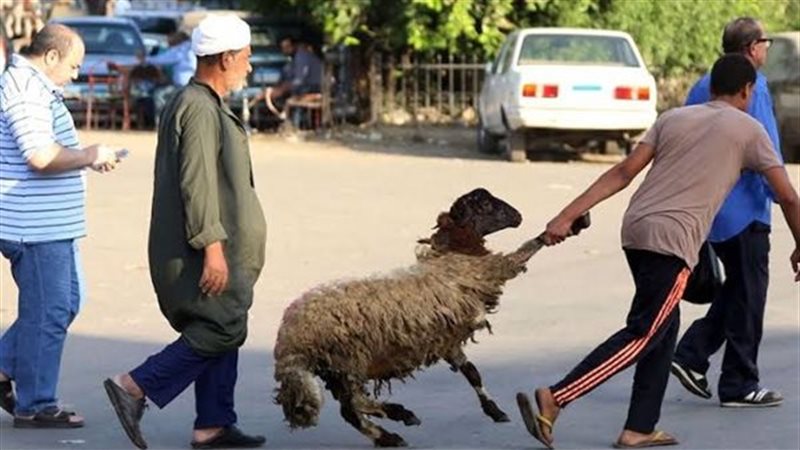 حالة الطقس أول أيام