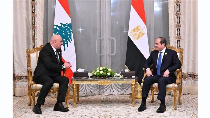 السيسي يستقبل الرئيس