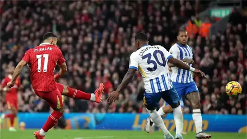 ليفربول وبرايتون