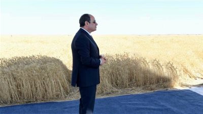 تفاصيل افتتاح المرحلة الأولى من مدينة مستقبل مصر، 13.5 مليون فدان بحلول 2027