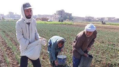 الاستعلام عن منحة العمالة غير المنتظمة 2025، اعرف قيمة الزيادة الجديدة