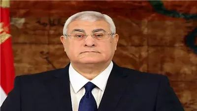 وفاة شقيق المستشار عدلي منصور بعد صراع مع المرض